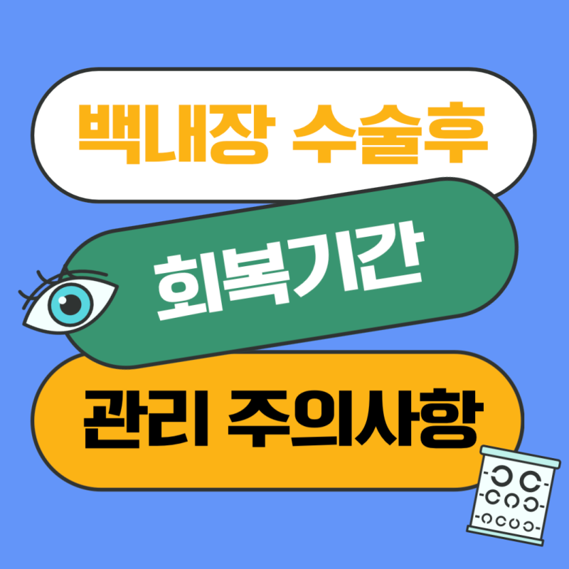 백내장 수술후 회복기간 관리 주의사항 총정리