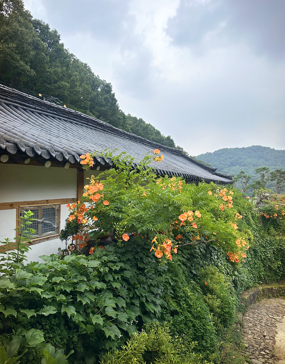 카페 새오개길 39 한옥 비스트로 사진 2