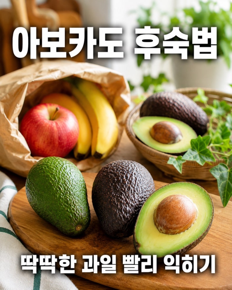 아보카도 후숙하는 법! 딱딱한 아보카도 가장 빨리 익히는 꿀팁