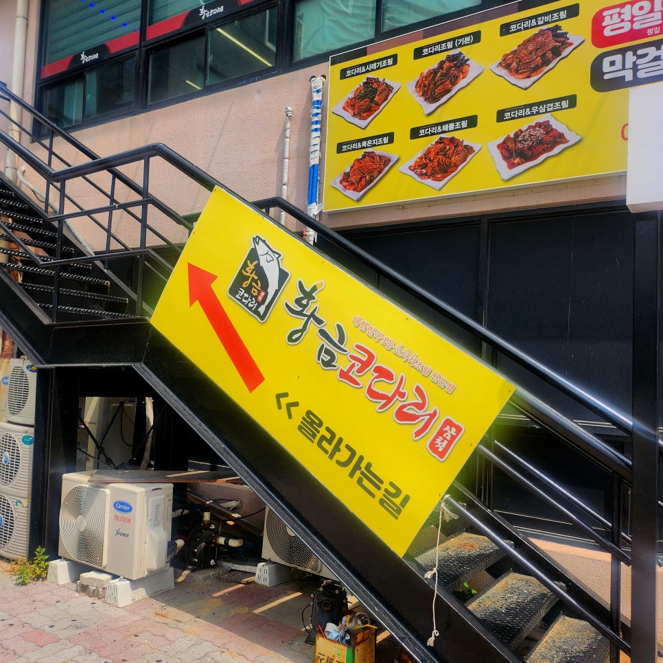 황금코다리 삼척점 사진 2