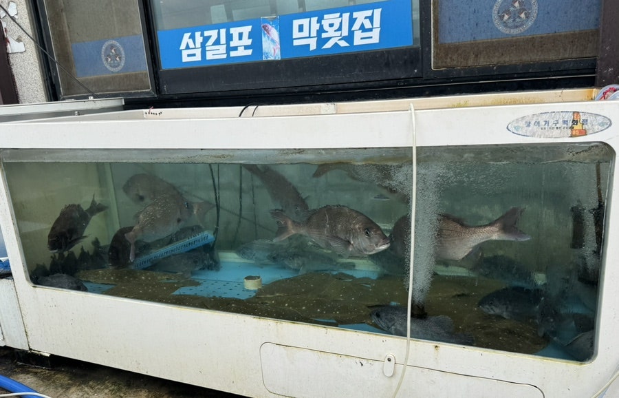 삼길포막횟집 사진 3