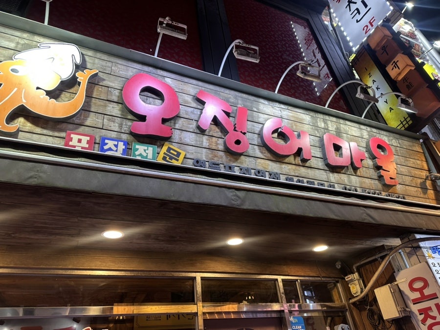 오징어마을 사진 1