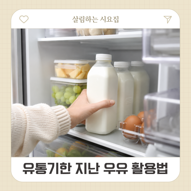우유 유통기한 소비기한 지나면 버리지 마세요! 보관법 활용법 총정리