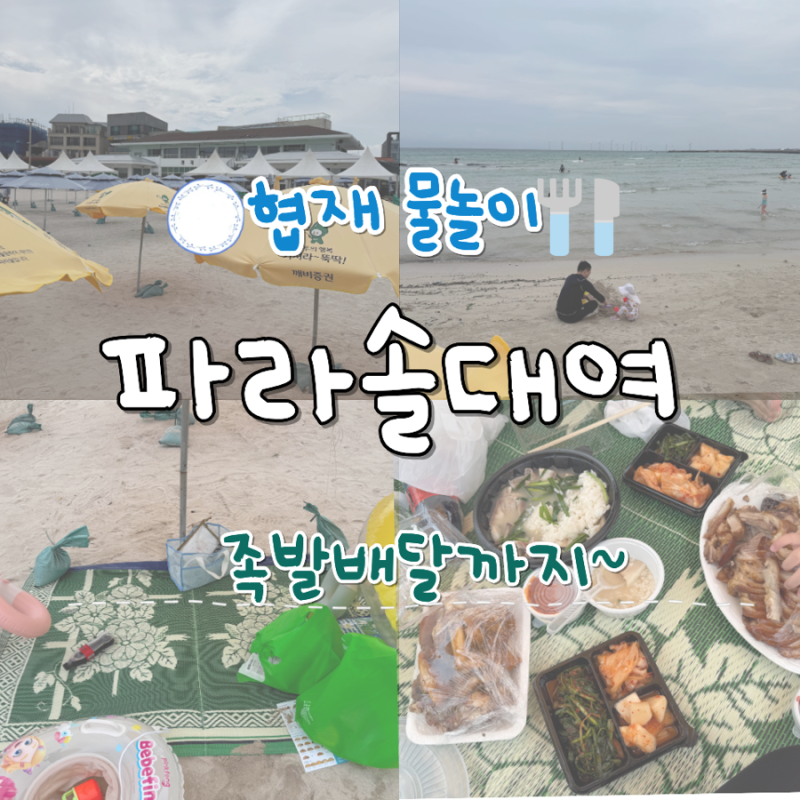 협재해수욕장 아기랑 물놀이 파라솔 배달 시켜먹기