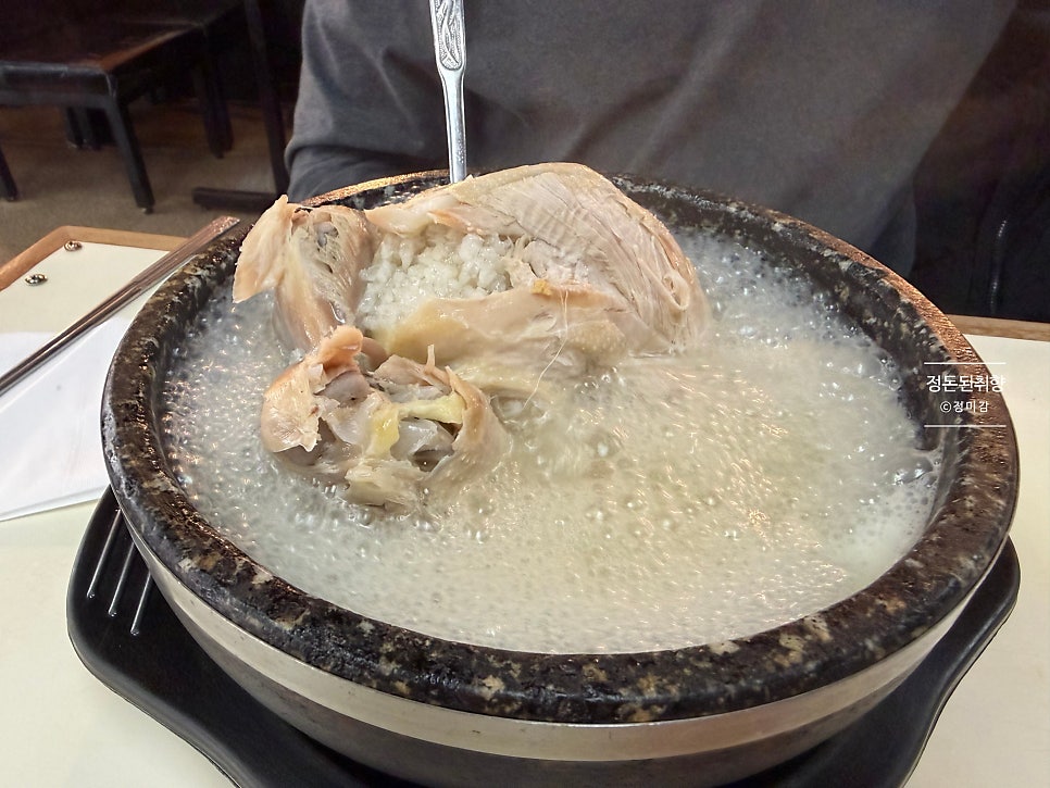 파낙스 사진 6