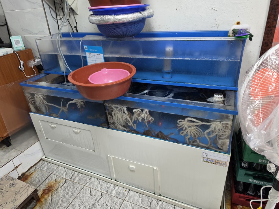 독천낙지명가 사진 4