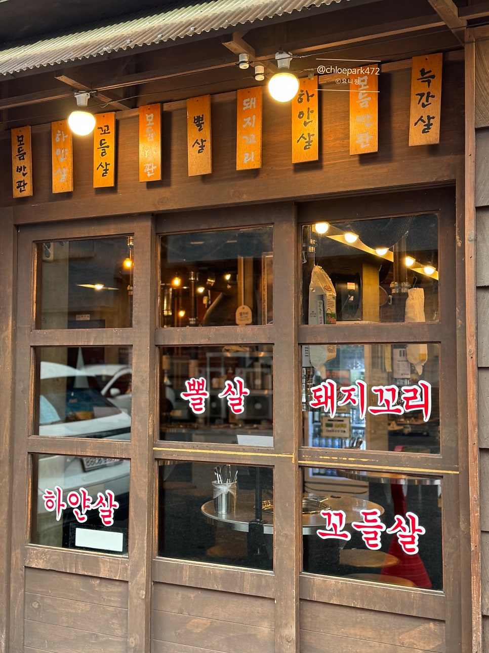 꼬기 사진 6