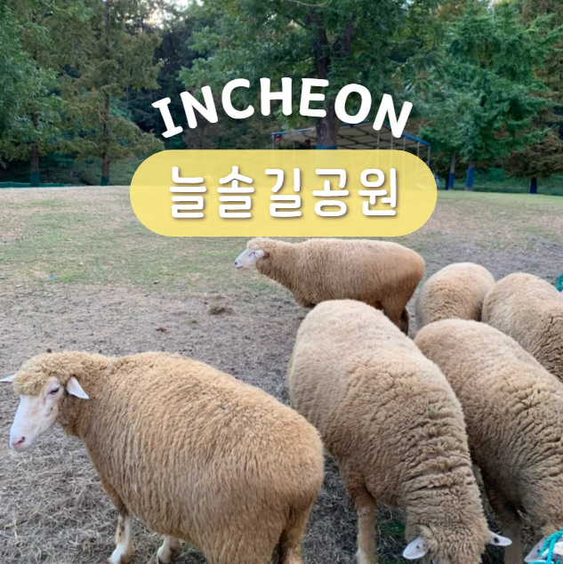인천 아이랑 갈만한곳 늘솔길공원 논현동 양떼목장 주차장 시간 주말 나들이
