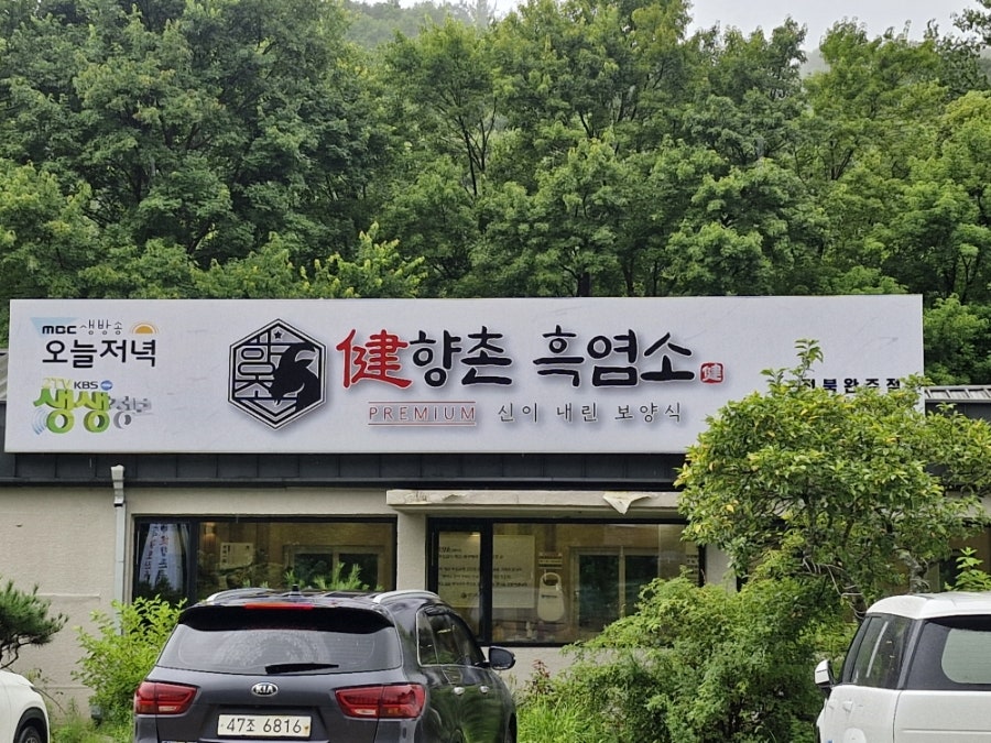황토오리 사진 4