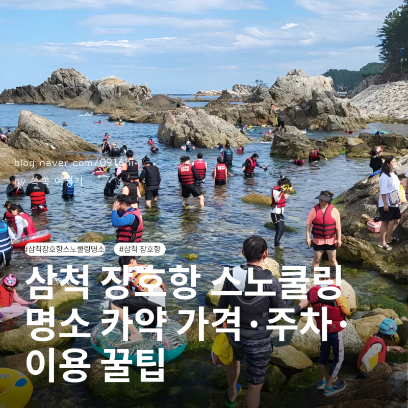 삼척 장호항 스노쿨링 명소｜투명 카약·장호어촌체험마을 총정리