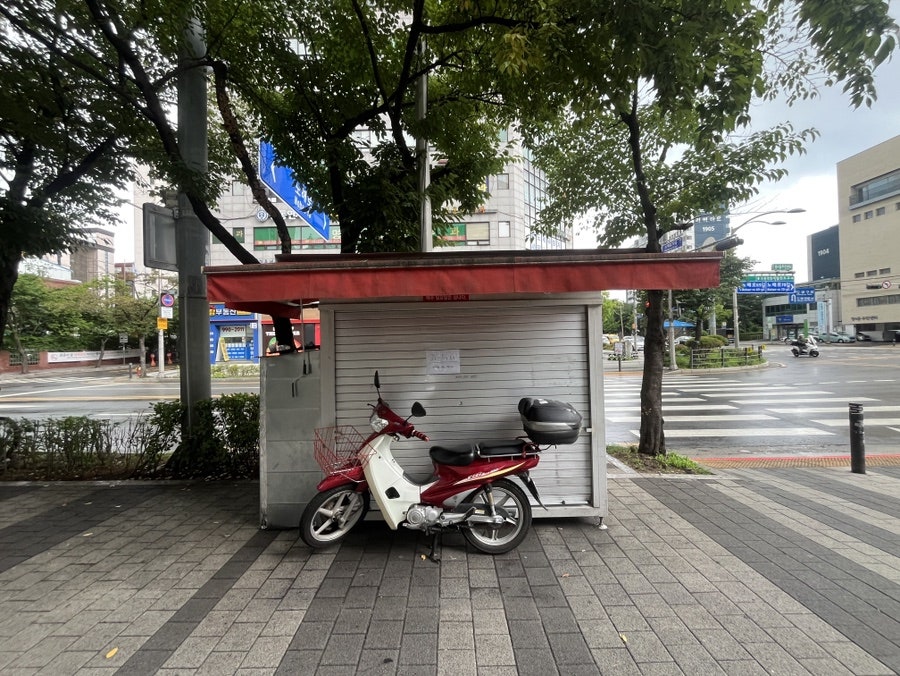 참만두 사진 1