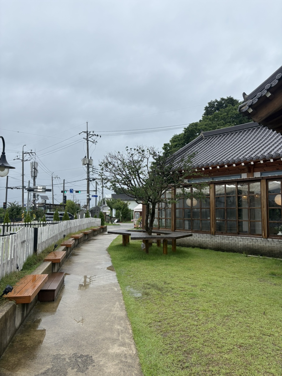 밀밀 사진 3