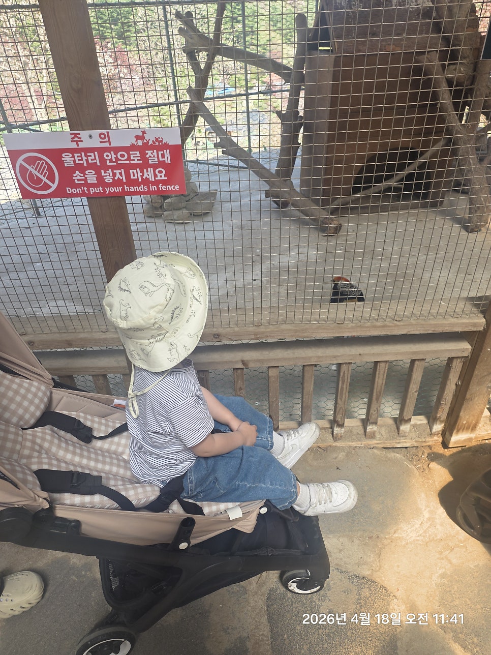 라온포레키즈풀빌라 사진 4