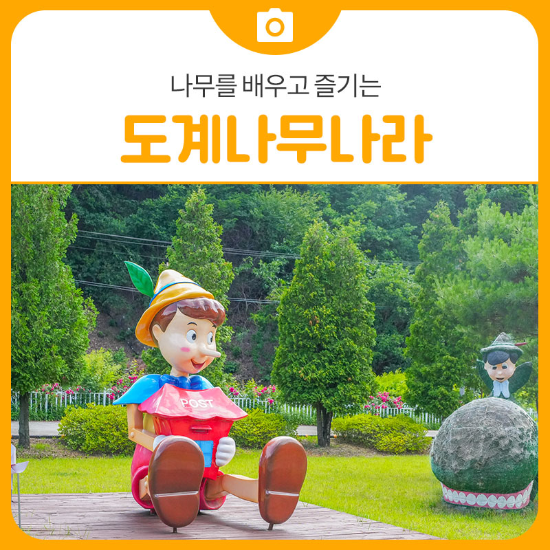 도계나무나라 사진 1