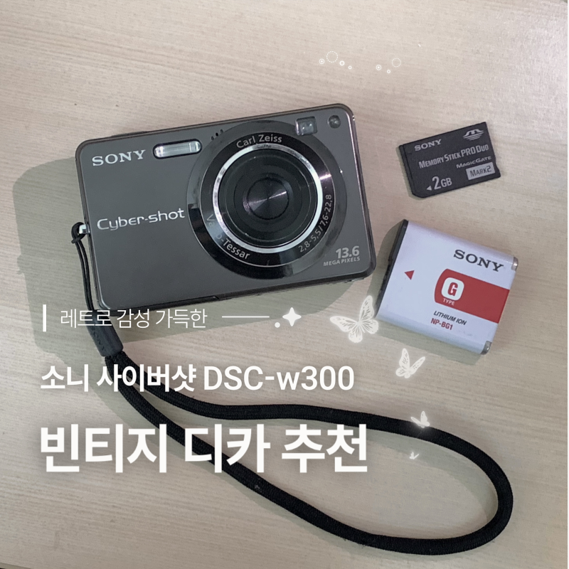 [입문용 빈티지 디카] 소니 사이버샷 dsc w-300 작례 및 호환 충전기, 리더기 제품 정보 | 디카로....