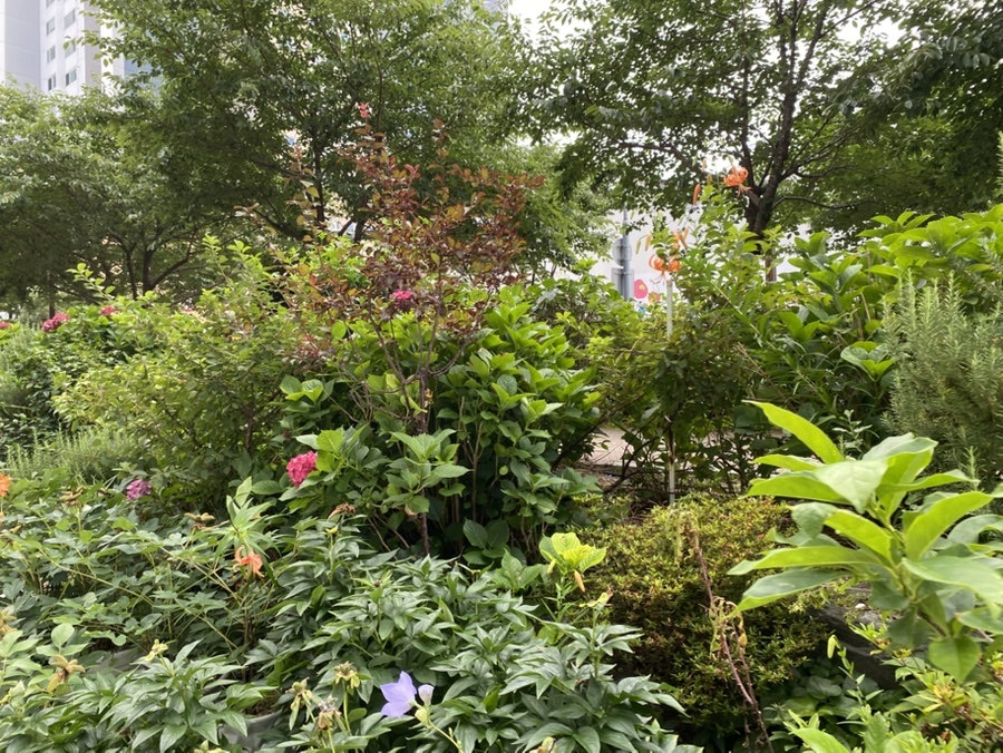 해운대마당집 사진 6