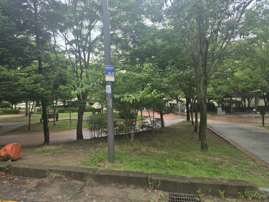 네츠이 사진 4