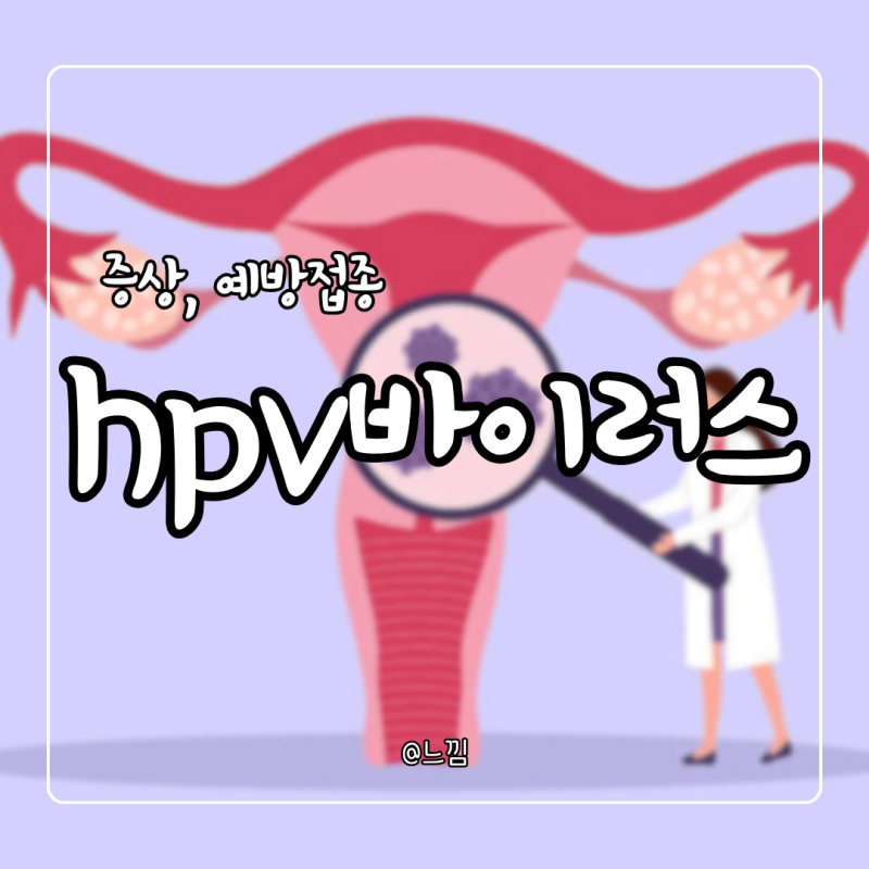 hpv 바이러스 원인 증상 치료 hpv 예방접종