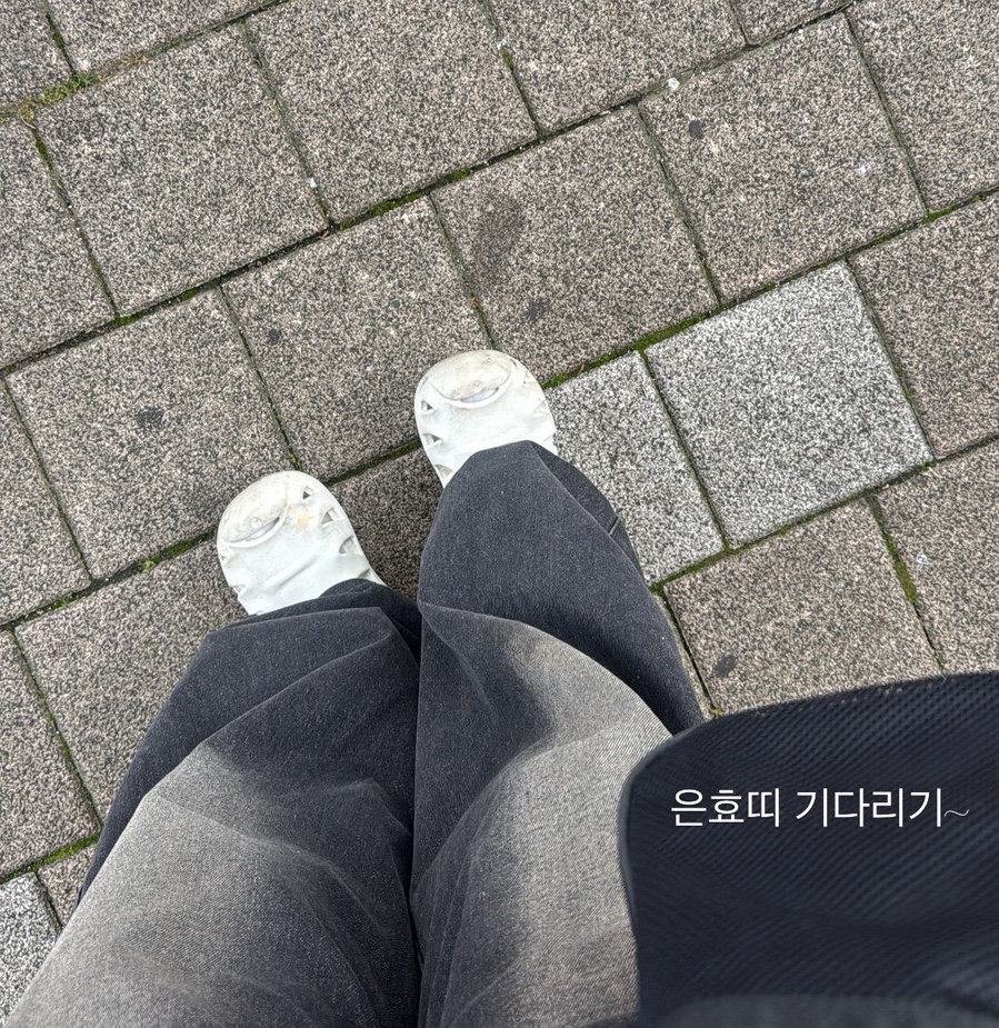 포옥 사진 3