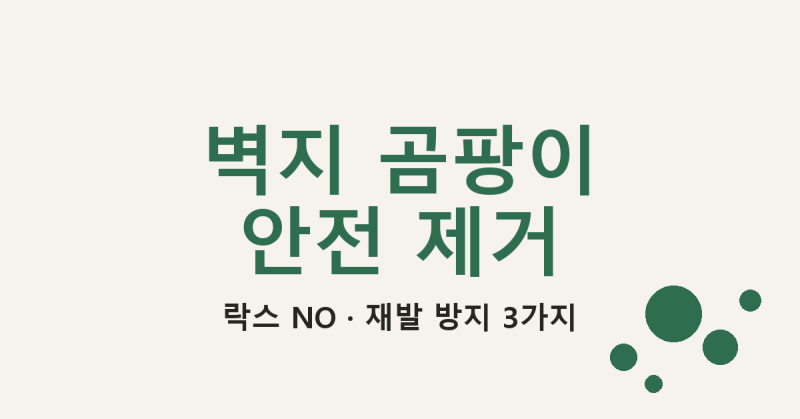 벽지 곰팡이 제거 방법, 락스 없이 안전하게 지우고 재발 막는 3가지