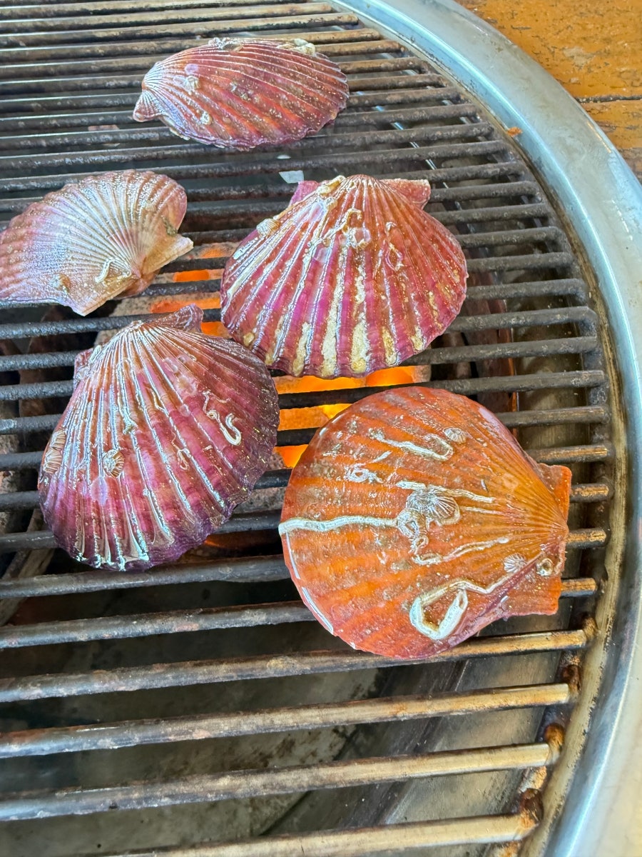 선창회집 사진 3