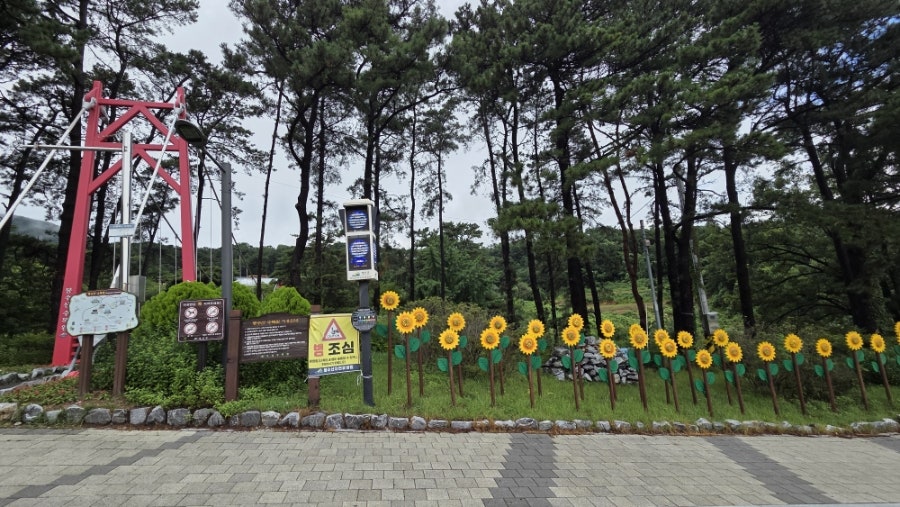 봉수산자연휴양림 사진 3