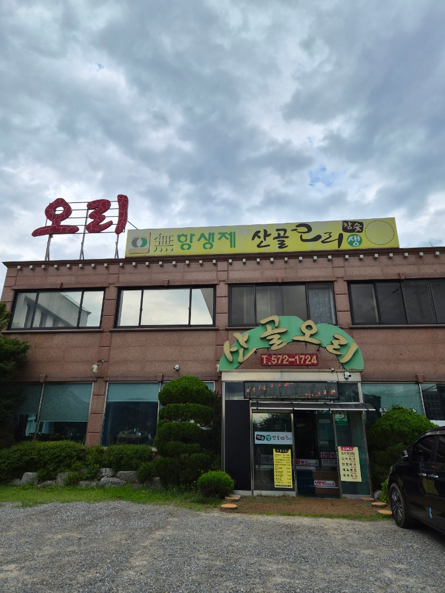 산골오리 사진 2
