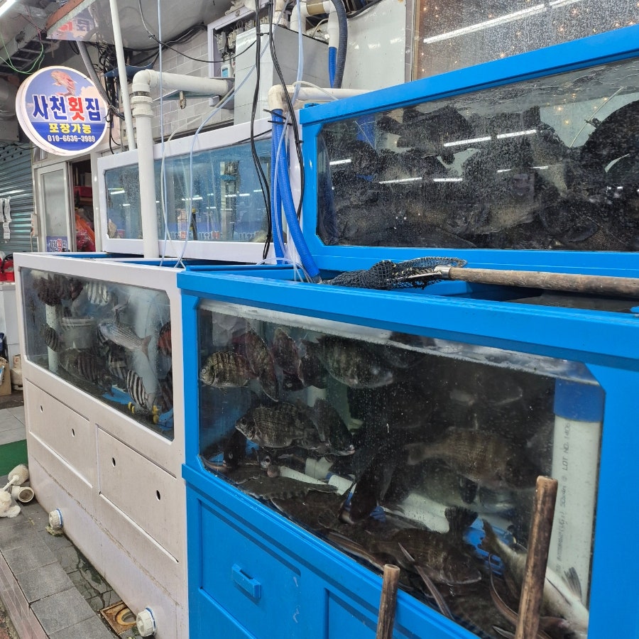사천횟집 사진 3
