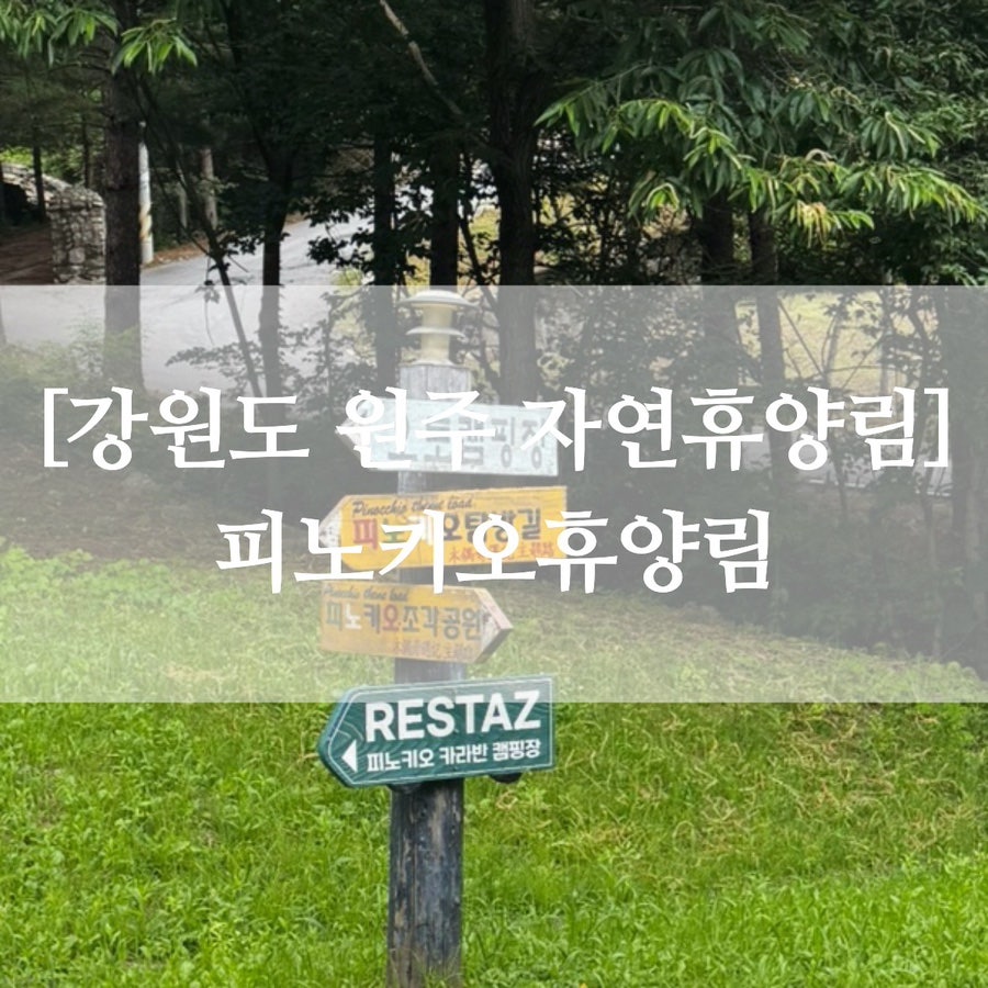 피노키오 자연휴양림 사진 1