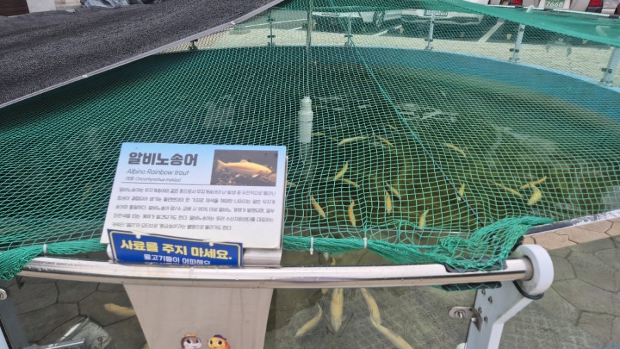 민물고기전시관 사진 6