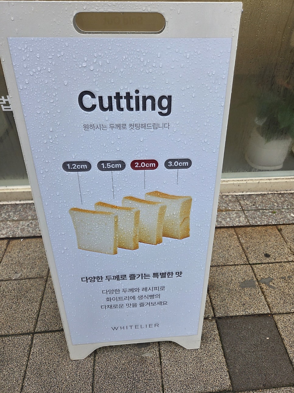 화이트리에 천안직영점 사진 5