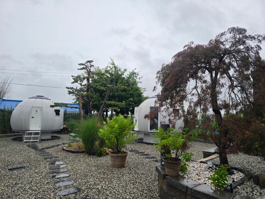 Yangsongiyu photo 3