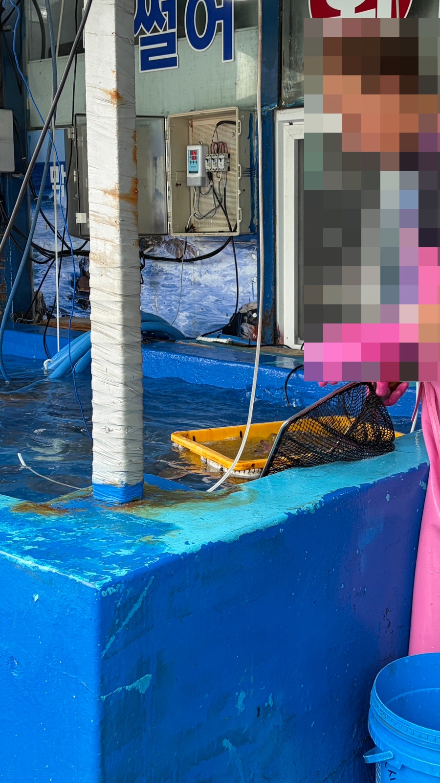 막썰어횟집 사진 2