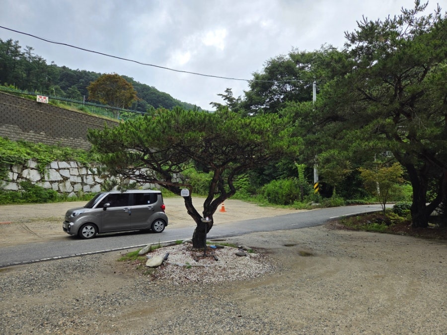 피크닉청평 사진 4