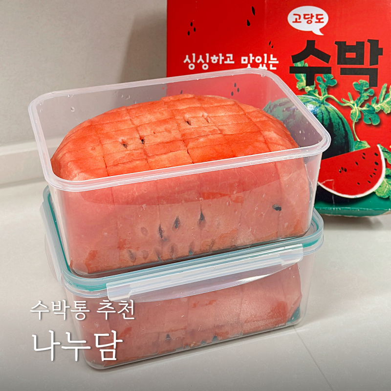 수박통 추천 나누담 수박 깍둑썰기 보관 밀폐용기