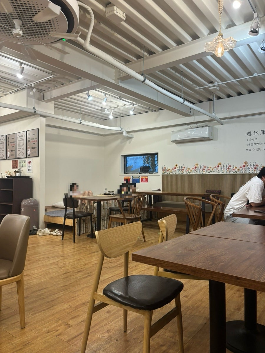 춘빙고 사진 5