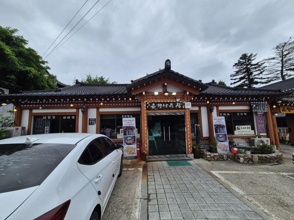 남한산성 은행나무집 사진 1