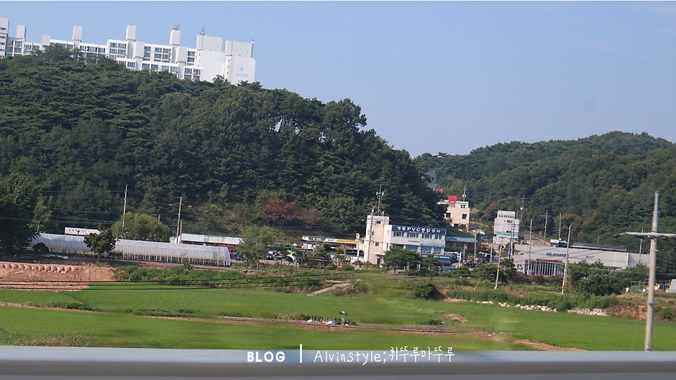 독일베이커리 2호점 사진 2