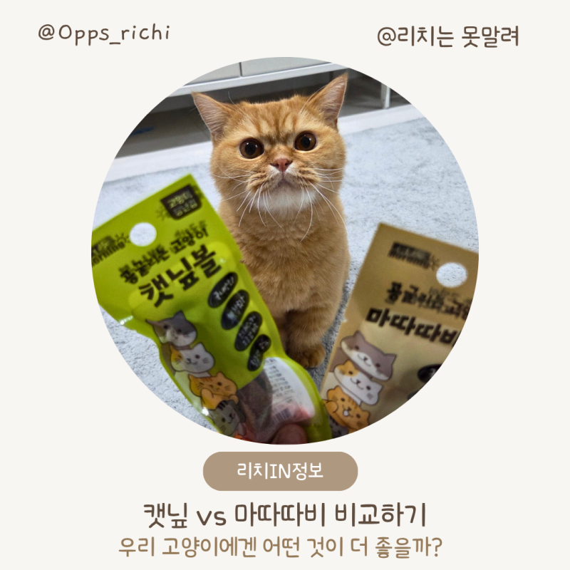 캣닢과 마따따비 | 우리 고양이에게 어떤 것이 더 잘 맞을까?