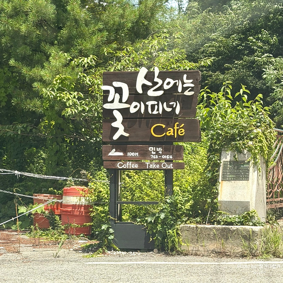 산에는 꽃이피네 사진 1