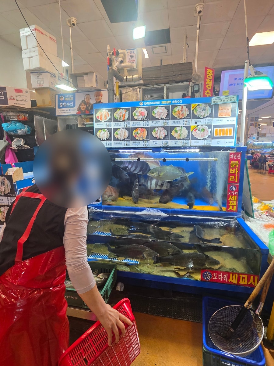 청해진 사진 6