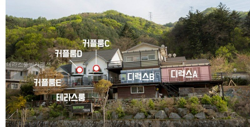 Gapyeongdeorisseompulbilra photo 2