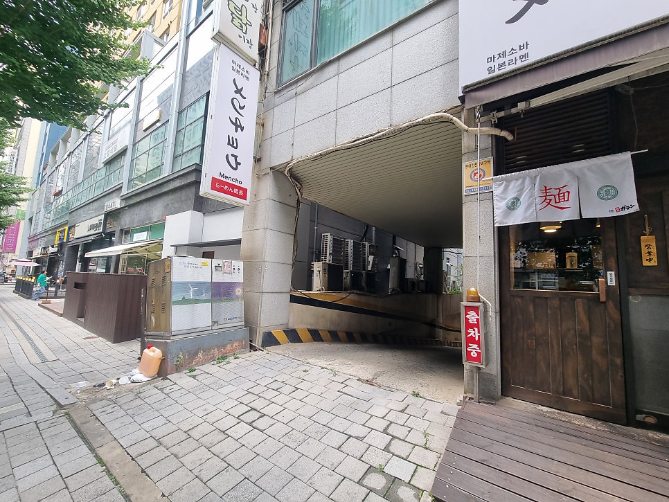 멘초 사진 5