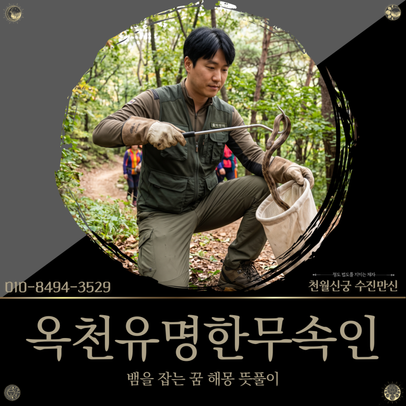 옥천유명한무속인, 뱀을 잡는 꿈 해몽 뜻풀이