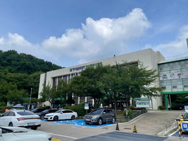 30대에 운전 면허 따기 1탄 - 필기 시험 / 안산대일운전면허학원