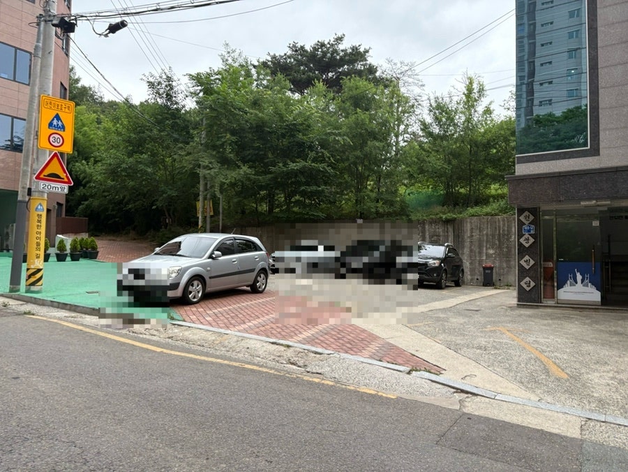 미우가 사진 2