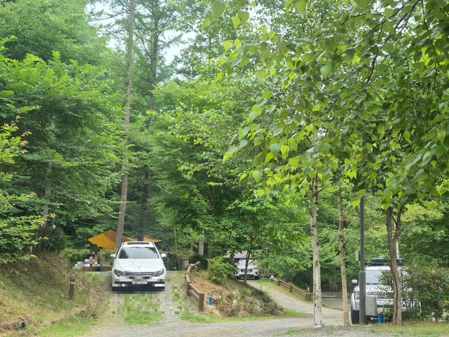 국립화천숲속야영장 사진 6