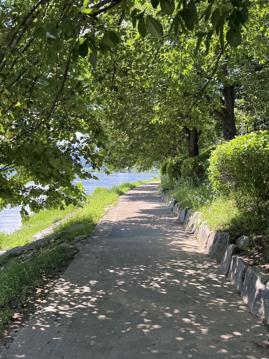 리버레인카페 사진 6
