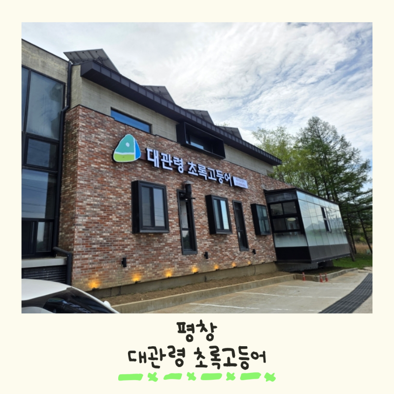 대관령 양떼목장 근처 맛집 대관령 초록고등어 평창 본점