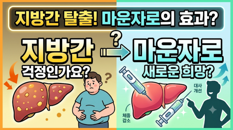 지방간 마운자로 효과 정신과약복용 마운자로 적용 가능한가 비급여 비용